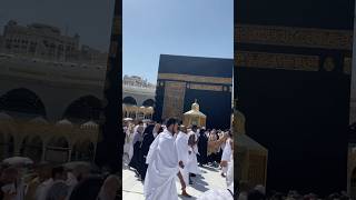 May Allah bless everyone to come here 🤲🕋 #hajj #2024 #umrah #makkah #kabbah #viral #ytshorts