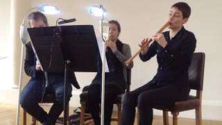 Mollenhauer Recorder @ Royal Greenwich International Early Music Festival 2015  モーレンハウエル リコーダー