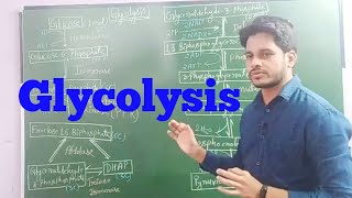 Glycolysis (Live Class- 2) (TGT PGT Biology)