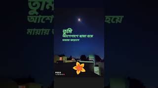 তুমি আশেপাশে ছায়া হয়ে মায়ায় জড়ালে । তুমি এক নিমেষে ভালোবেসে আমায় বাঁচালে