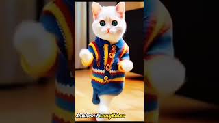 billi ka dance 😂 cat funny dance ( patli kamariya bole) #cat #dance #youtubeshorts