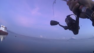 Ultralight Casting !! Reel menjerit akibat ganasnya sambaran ikan