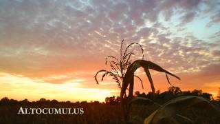 Under the Four River Skies: Cloud Classification