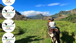 Hawaii Horseback Riding - Oahu, Hawaii - Kualoa Ranch - March 2023