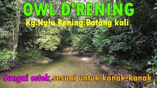 Sungai cetek,SESUAI untuk kanak-kanak,OWL d'RENING Campsite review di Ulu Rening Batang Kali