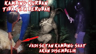 KAMBING KURBAN HOROR - BERUBAH WUJUD SAAT MAU DI SEMBELIH JADI KAMBING SETAN