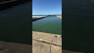 Rock Pool Yamba #shortsvideo#australia#nsw