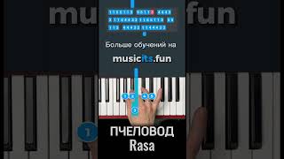 Как играть RASA🐝 Пчеловод🐝 на пианино 🎹 по цифрам 👆 #пианино #обучениефортепиано #tiktok #shorts