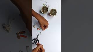 flower making with cardboard | flower making video | #shorts #YouTubeshorts #WHITEBoxmalayalam