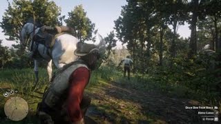 Red Dead 2 - How many of you tried this?