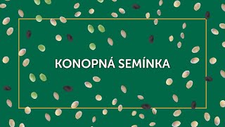 KONOPNÁ SEMÍNKA - DIANA COMPANY & @TOJIDLO - ŠKOLA PŘÍRODY