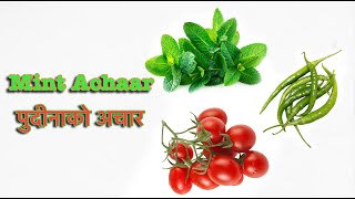 Mint Achaar / पुदिनाको अचार