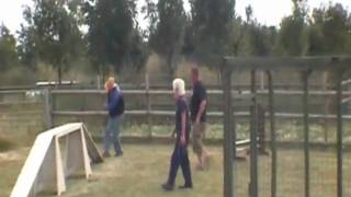 ukcruisers Challenge Frank RSPCA Agility Course Block Fen 18 July 2010.