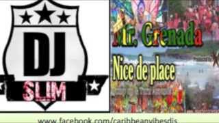 New Mr Grenada | Nice De Place [Spicemas 2013]