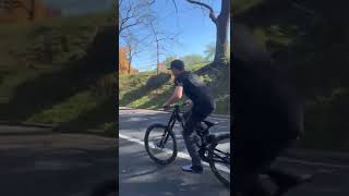 Central Park Dh Mtb Wheelie