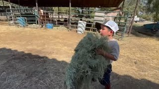 Nephew Takes Over The Farm!!