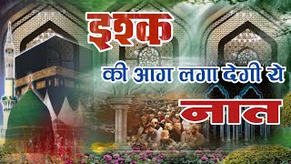 इश्क़ की आग लगा देगी ये नात-Heart Touching-Kalaam 2021-Saleem Raza Pilibhiti Naat-Padhu Naat Rab Ko