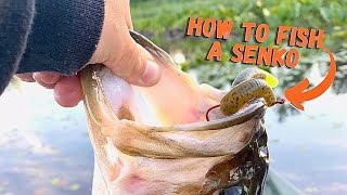 How to fish weightless SENKOS for shallow BASS