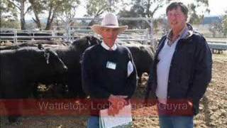 Angus week defies drought as buyers flock to NSW