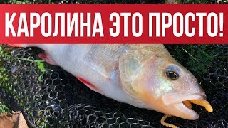 Как ловить на каролину (Carolina Rig) ? Простые советы. Теория и практика | Рыбалка с Fishingsib