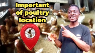 Rural vs Urban Area | Where to build a poultry house.