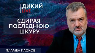 Это Вам не мелочь по карманам тырить. Пламен Пасков. Дикий LIVE.