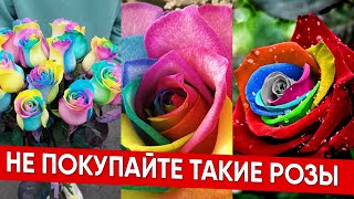 НЕ ПОКУПАЙТЕ ТАКИЕ РОЗЫ