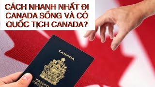 CANADA 🇨🇦 CÁCH NHANH NHẤT ĐỂ ĐI ĐỊNH CƯ VÀ CÓ QUỐC TỊCH CANADA 🇨🇦 THÔN QUÊ CANADA