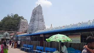 Vemulawada Temple rare videos | Vemulawada Kode mukku