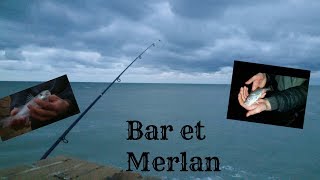 Pêche en mer Bar et Merlan Gravelines ft GS DK Fishing 2017