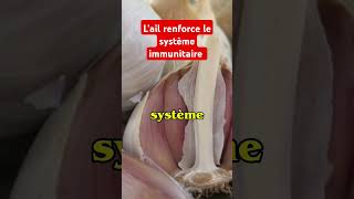 L'ail booste votre système immunitaire #santé #healthshort #ail #systèmeimmunitaire #shortvideo