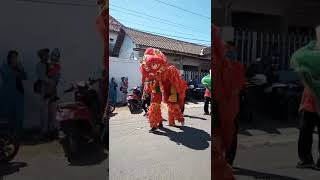 Ada barongsai Lewat#short