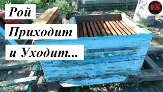 Рой Приходит и Уходит