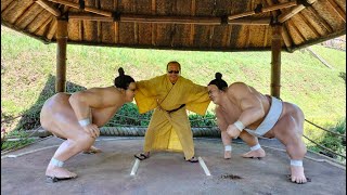 JADI WASIT SUMO DI THE ONSEN RESORT