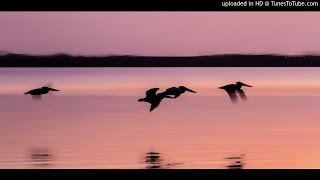 McCoy Tyner and Bela Fleck - My Favorite Things