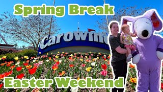 Easter Beagle and Flying Canines at Carowinds for Spring Break!