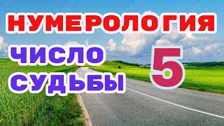 Число судьбы (имени) 5 в нумерологии