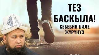 ТЕЗ БАСКЫЛА!  СЕБЕБИН БИЛЕ ЖҮРҮҢҮЗ