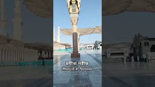 মদীনা শরীফ | Masjid Al Nabawi | Madina Rawda Sharif @BuluVaiya#madina #hajj #umrah #travel #viral