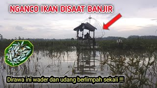 NGANCO IKAN BANJIR DAN HABIS HUJAN  !!! dapat wader dan udang