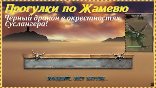 Проклятые Земли, прогулки по Жамевю | Чёрный дракон в окрестностях города Суслангер!