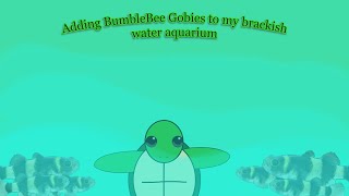 I Got Bumblebee Gobys!!!