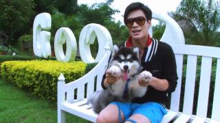 ช่วง Get Out There รายการ The Animal Lulla part1