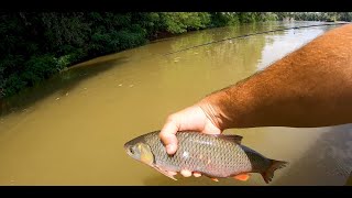 🎣🇷🇴⛵ #spinning #fishing #clean #catchandrelease - 4 zile la spinning (clean, salau) - july 2023