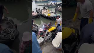 Fishermen transport freshly caught seafood to the seafood market