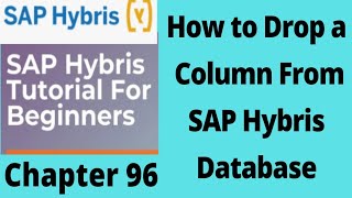 delete a column from hybris db table | DROP Column in hybris db | remove Column in sap hybris hsqldb