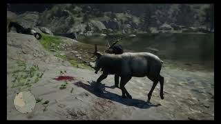 Bull Elk is ready to be Skinned-Red Dead Redemption 2