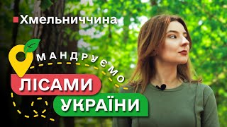 Лісова ЮШКА рецепт / МЕРТВЕ озеро / Мандруємо ЛІСАМИ УКРАЇНИ #5 випуск / ДП “Ліси України”