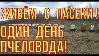 Пчеловодство как бизнес. Один день из жизни пчеловода.