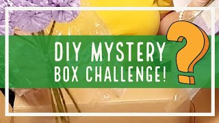 DIY MYSTERY BOX CHALLENGE!